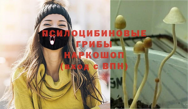 марки lsd Беломорск