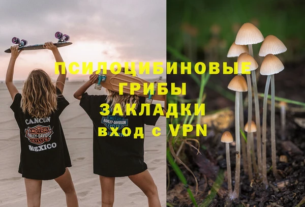 твердый Белокуриха