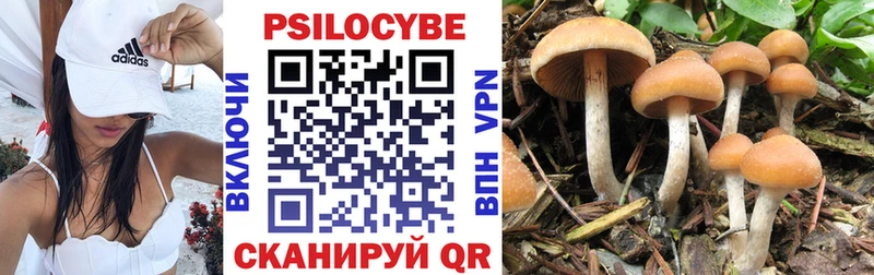 Псилоцибиновые грибы мицелий  Купить  Егорьевск 